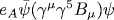 e_A\bar\psi(\gamma^{\mu}\gamma^5 B_{\mu})\psi