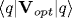 \langle q|{\bf V}_{opt}|q \rangle